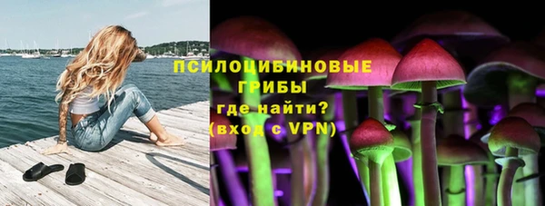ешки Алзамай