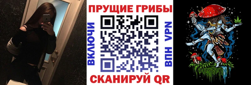 Псилоцибиновые грибы Psilocybe  блэк спрут сайт  Гдов 
